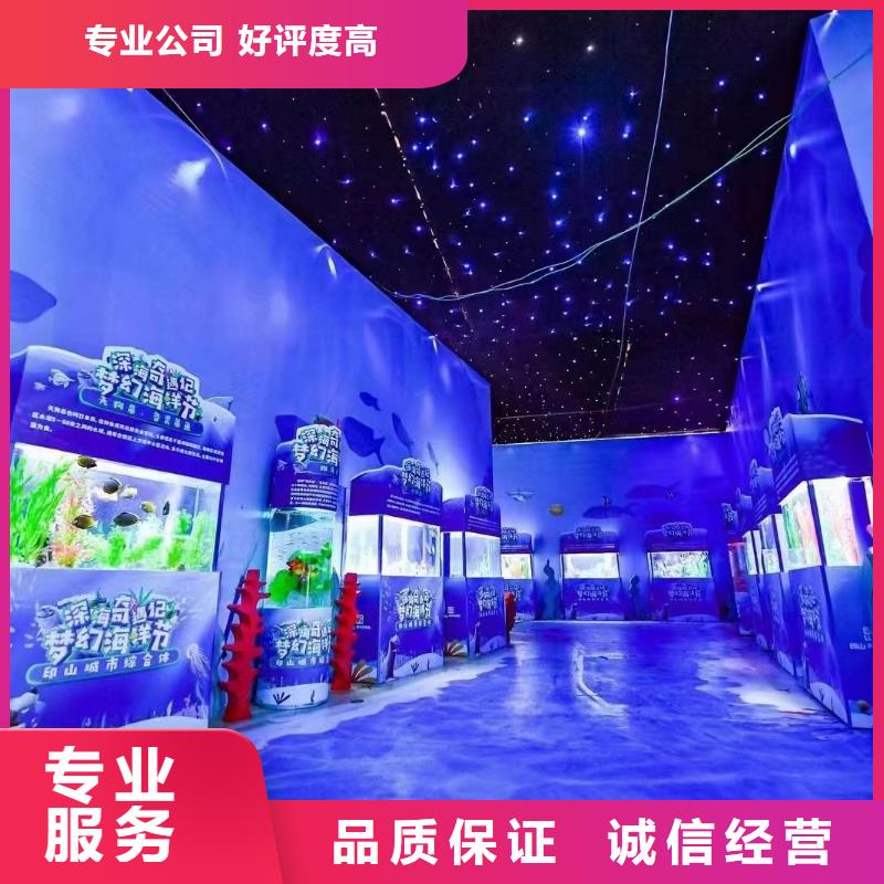 海洋主題動物表演海豚表演實力雄厚