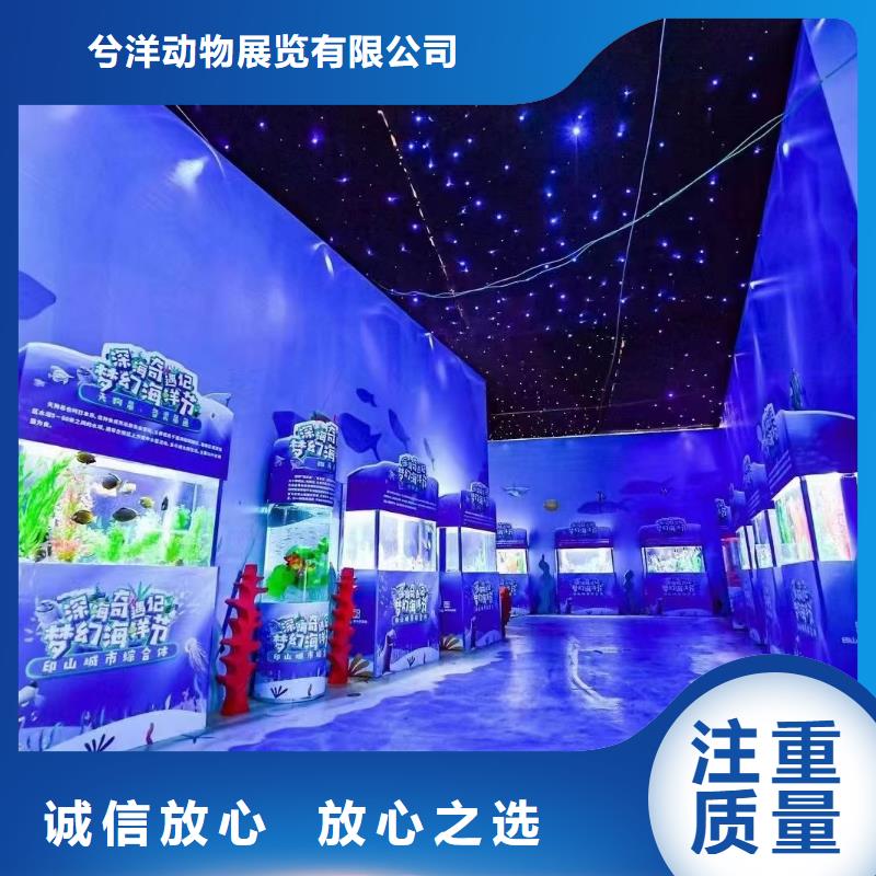 海洋主題動(dòng)物表演,【企鵝表演出租】口碑商家