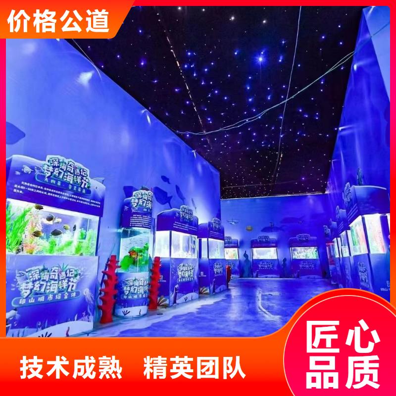 海洋主題動物表演雜技表演租賃服務(wù)先進(jìn)的技術(shù)