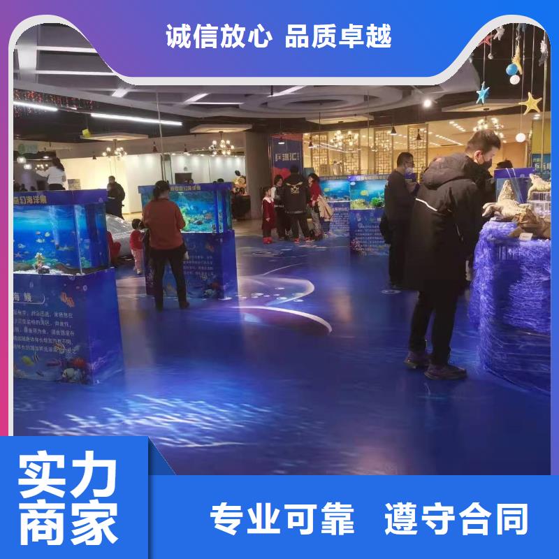 海洋主题动物表演羊驼出租放心之选