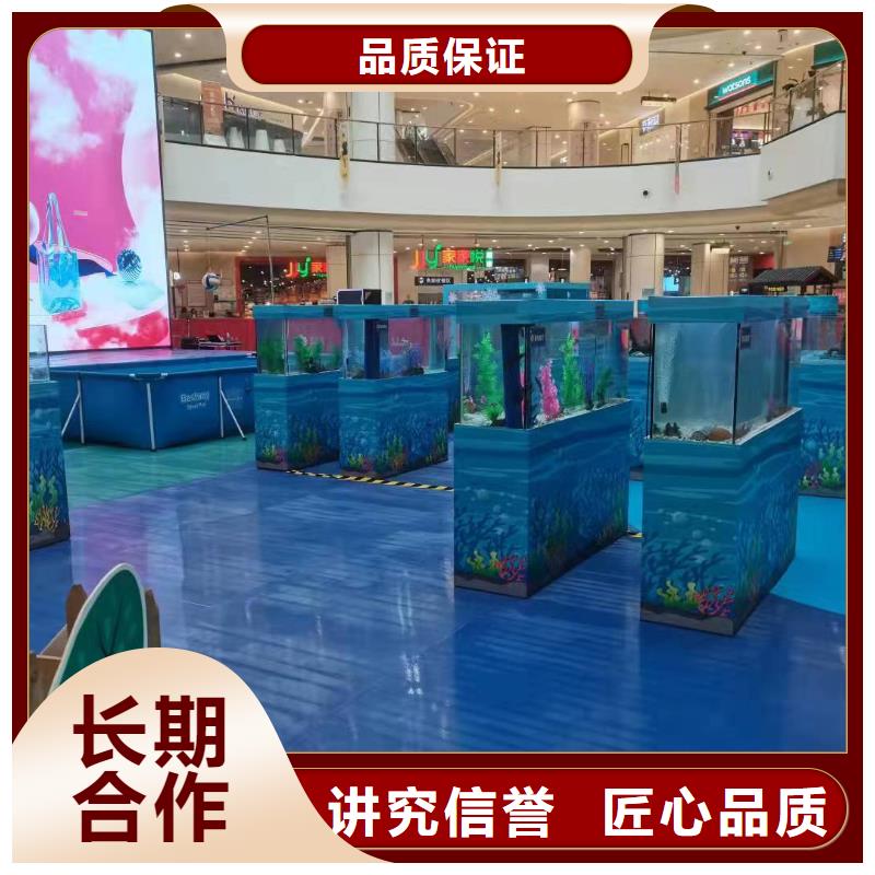 海洋主題動(dòng)物表演馬戲團(tuán)出租 經(jīng)驗(yàn)豐富