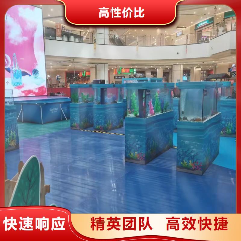 海洋主题动物表演出租表演羊驼遵守合同