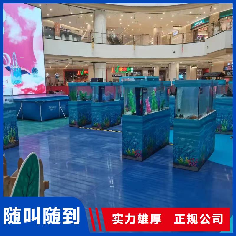 【海洋主題動物表演羊駝表演技術(shù)比較好】