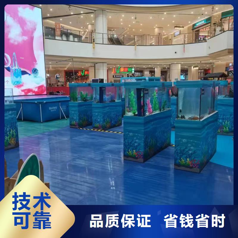 海洋主题动物表演_羊驼出租服务周到