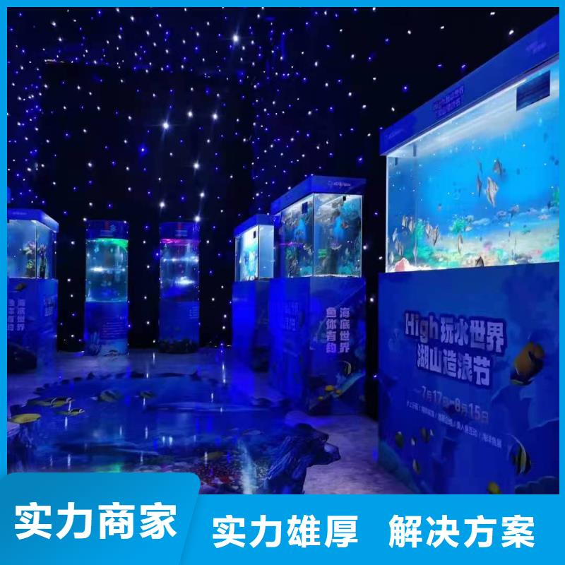 海洋主題動(dòng)物表演 動(dòng)物表演靠譜商家