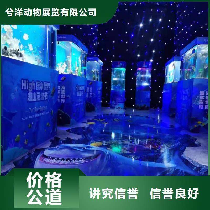 海洋主題動物表演_小馬戲表演出租專業(yè)承接