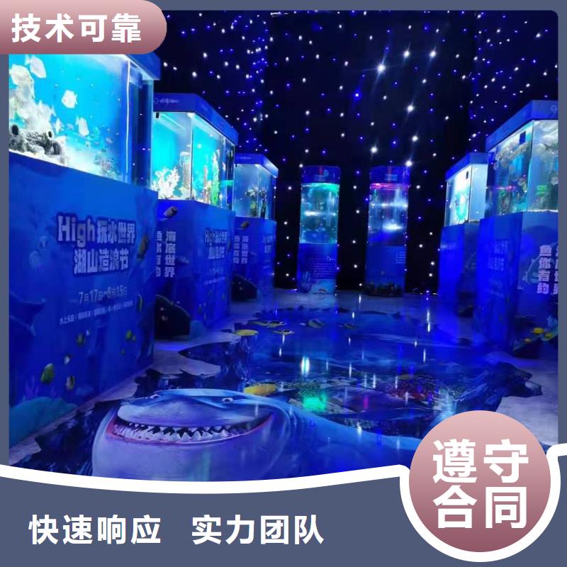 海洋主题动物表演【杂技表演】高性价比