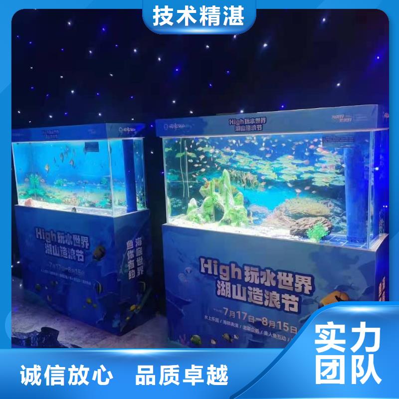海洋主题动物表演海豚表演从业经验丰富