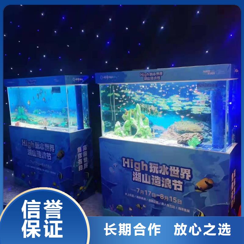 【海洋主題動(dòng)物表演】海獅表演出租長期合作