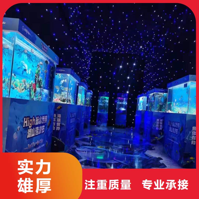 海洋主題動物表演【出租表演羊駝】技術(shù)成熟