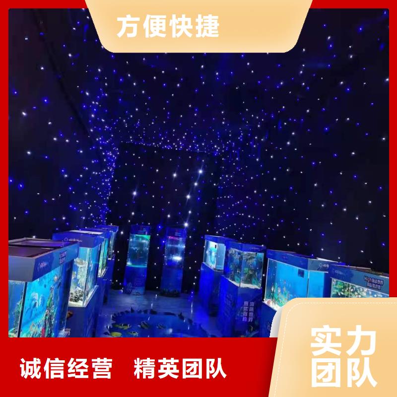 海洋主题动物表演鹦鹉表演信誉良好
