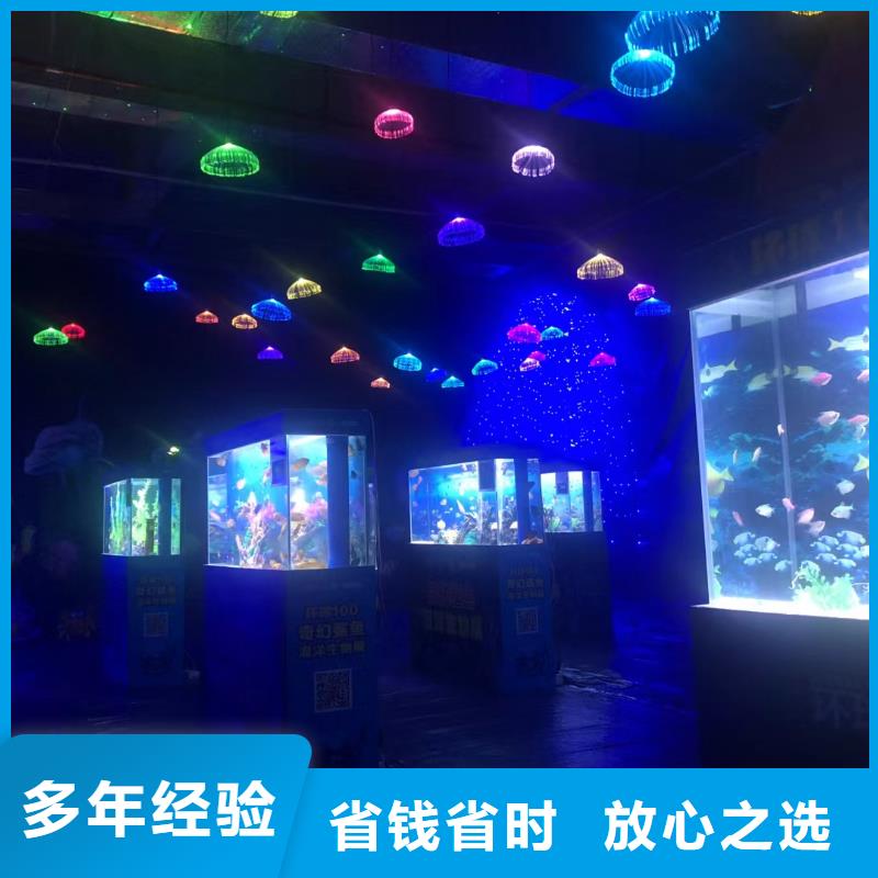 【海洋主题动物表演 海洋展租赁专业服务】