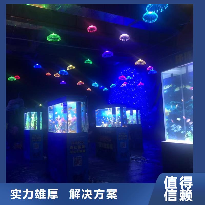 海洋主题动物表演,出租表演企鹅高品质