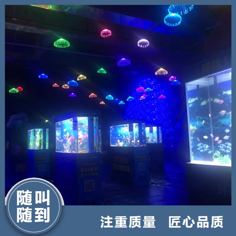 【海洋主題動物表演小香豬寵物出租良好口碑】
