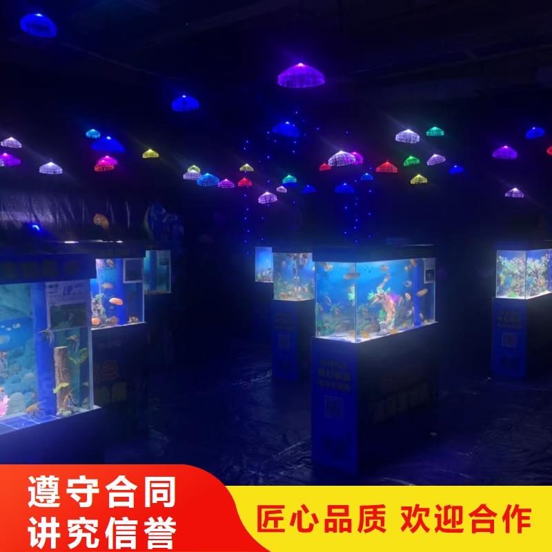 海洋主題動(dòng)物表演動(dòng)物表演歡迎詢價(jià)
