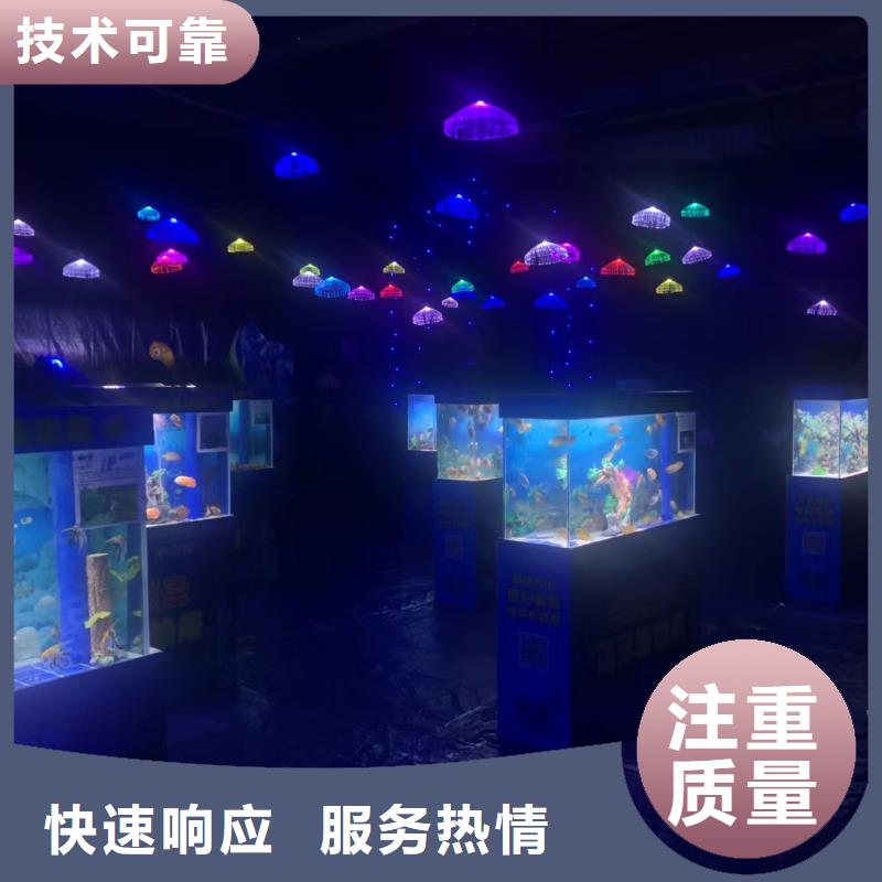 海洋主题动物表演_海狮演出2025公司精心
