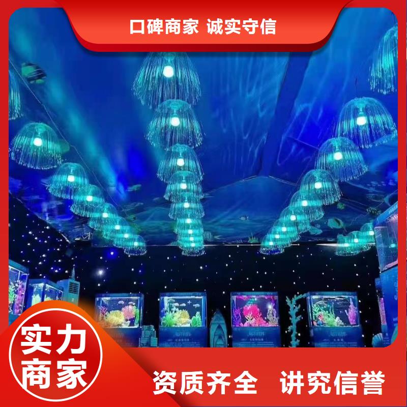 海洋主题动物表演出租表演萌宠解决方案