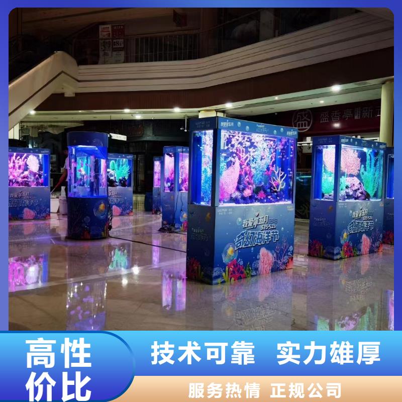 海洋主題動(dòng)物表演_小馬戲表演出租專業(yè)承接