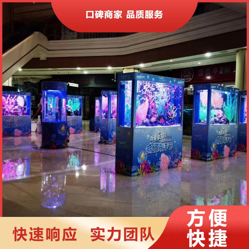 海洋主题动物表演观赏性羊驼租赁诚信经营