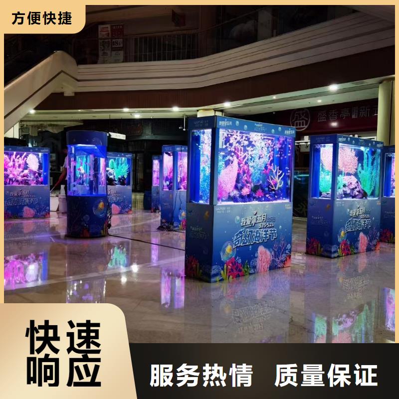 海洋主题动物表演 动物表演靠谱商家