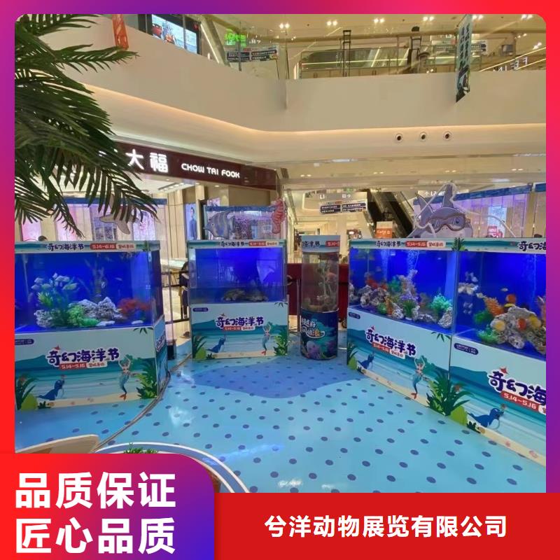 海洋主题动物表演,环球飞车表演出租案例丰富