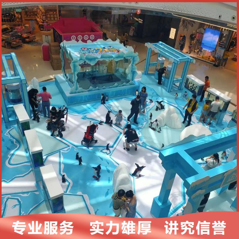 海洋主題動物表演_企鵝租賃匠心品質(zhì)