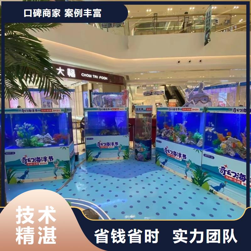 【海洋主題動物表演】馬戲團(tuán)表演比同行便宜