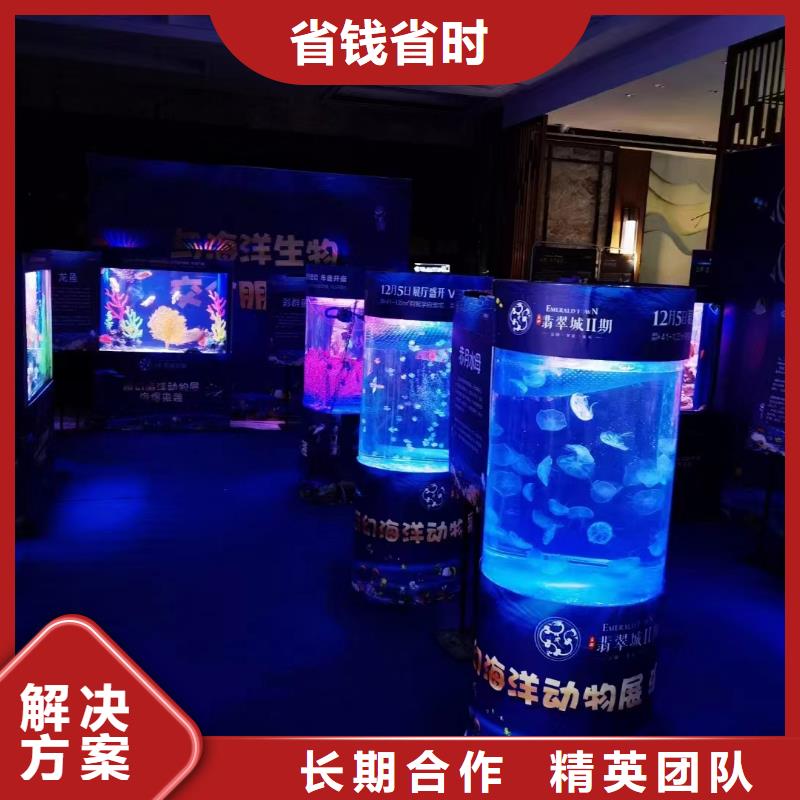 海洋主题动物表演杂技表演租赁服务先进的技术