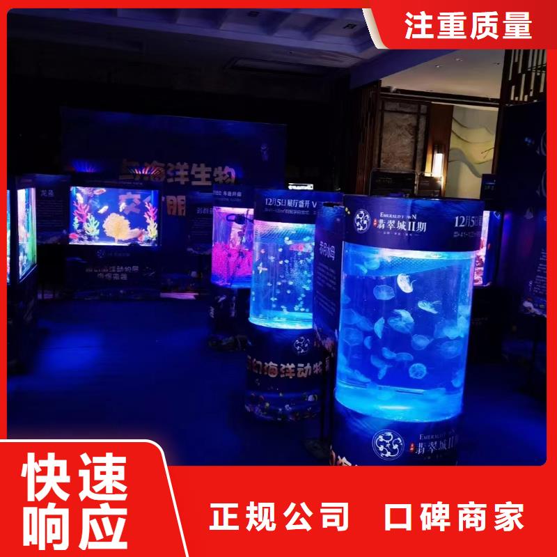 海洋主题动物表演 鹦鹉表演欢迎询价
