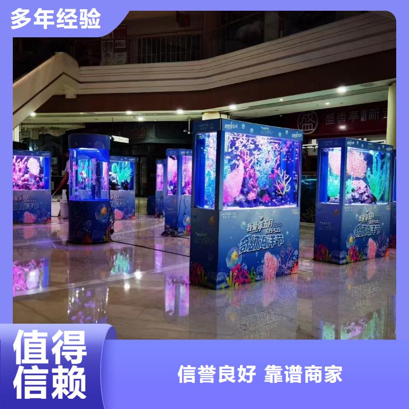 海洋主題動物表演,【企鵝表演出租】口碑商家