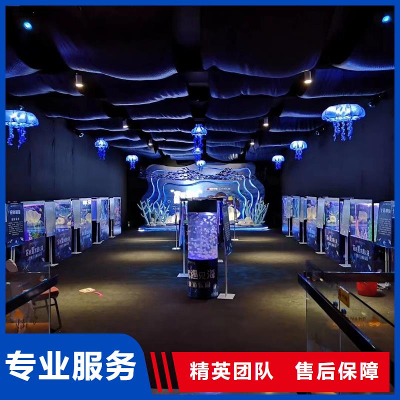 海洋主題動(dòng)物表演海獅表演租賃實(shí)力公司