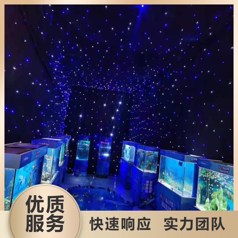 海洋主题动物表演,海洋展租赁经验丰富
