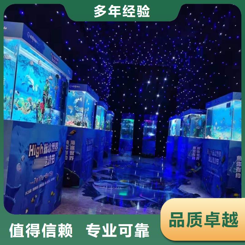海洋主題動物表演,馬戲團表演專業(yè)品質