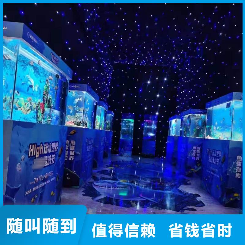 海洋主題動物表演表演羊駝租賃技術(shù)好