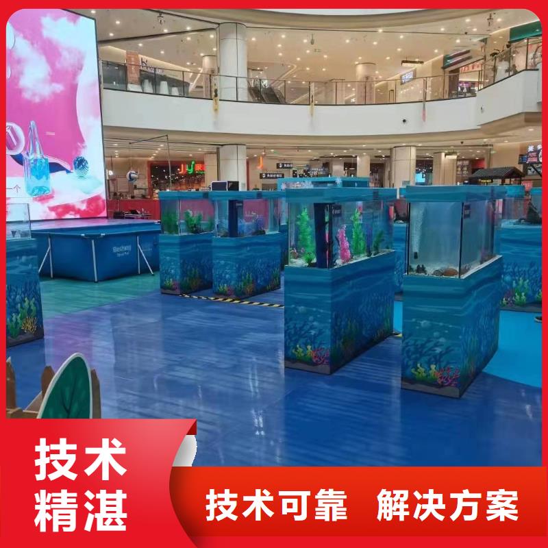 海洋主題動物表演,水族海洋展精英團隊