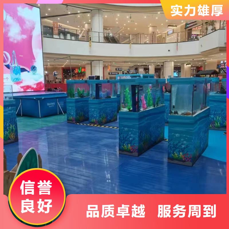 海洋主題動(dòng)物表演出租表演鸚鵡從業(yè)經(jīng)驗(yàn)豐富
