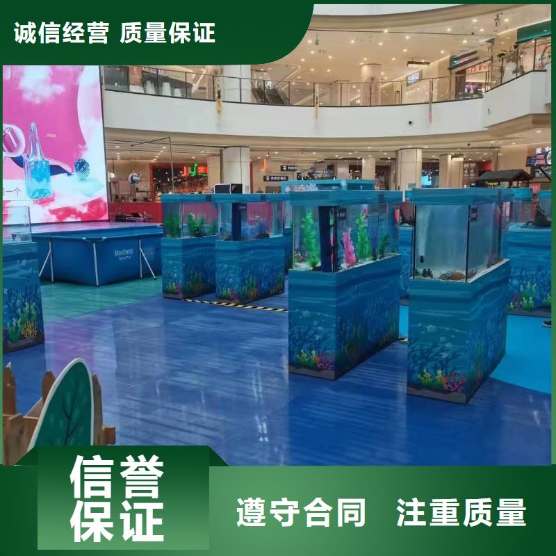 海洋主题动物表演海狮表演出租质量保证