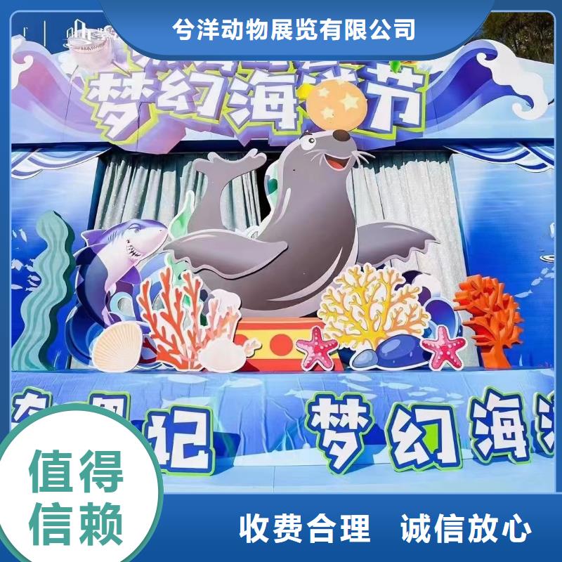 【海洋主题动物表演,出租表演萌宠实力强有保证】