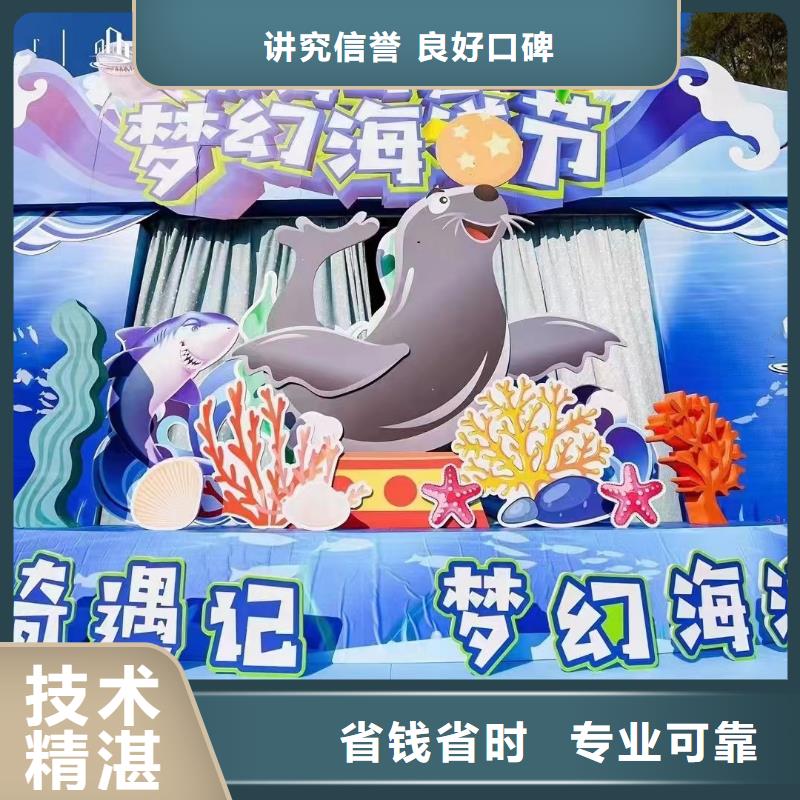 海洋主题动物表演海豚表演从业经验丰富