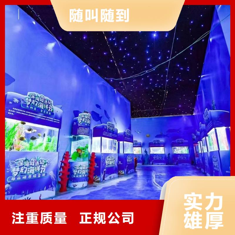 海洋主題動物表演【出租羊駝】實力強有保證