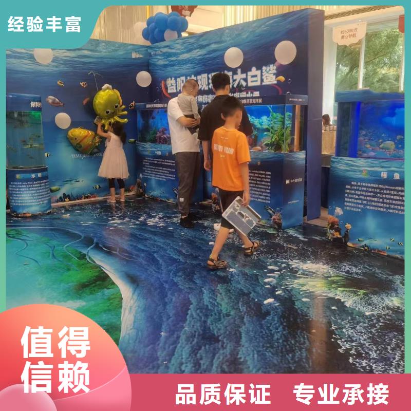 海洋主题动物表演 小香猪宠物出租长期合作