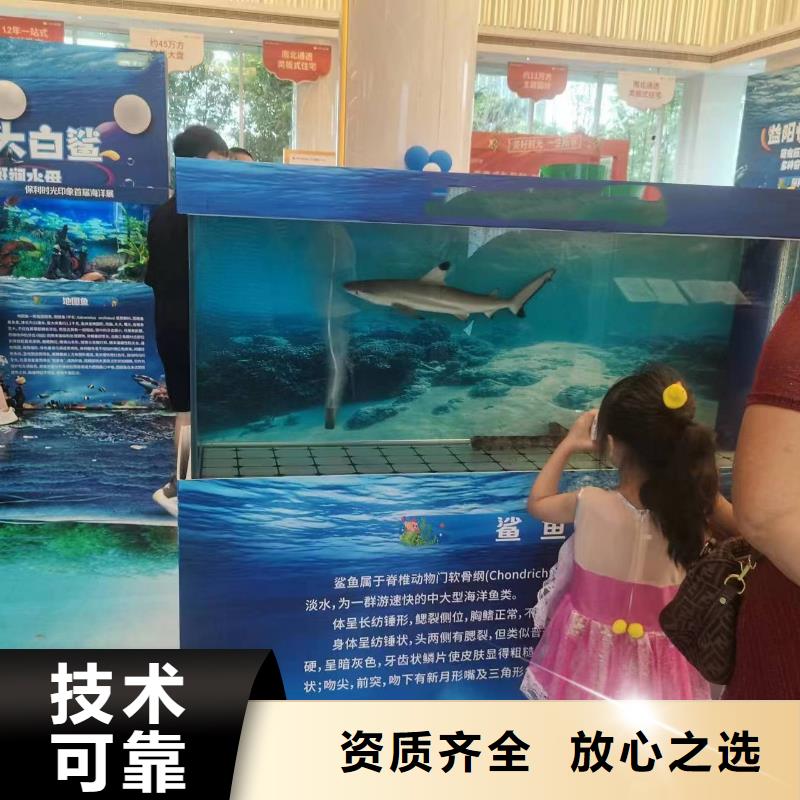 海洋主题动物表演 马戏团表演实力商家
