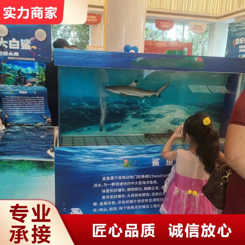 海洋主題動物表演企鵝租賃快速