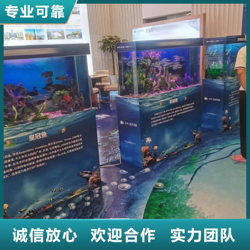 海洋主題動物表演羊駝出租品質(zhì)卓越