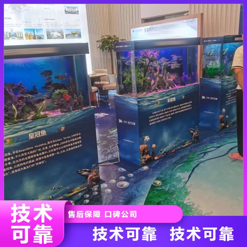 【海洋主題動物表演】【海獅租賃表演】品質(zhì)卓越