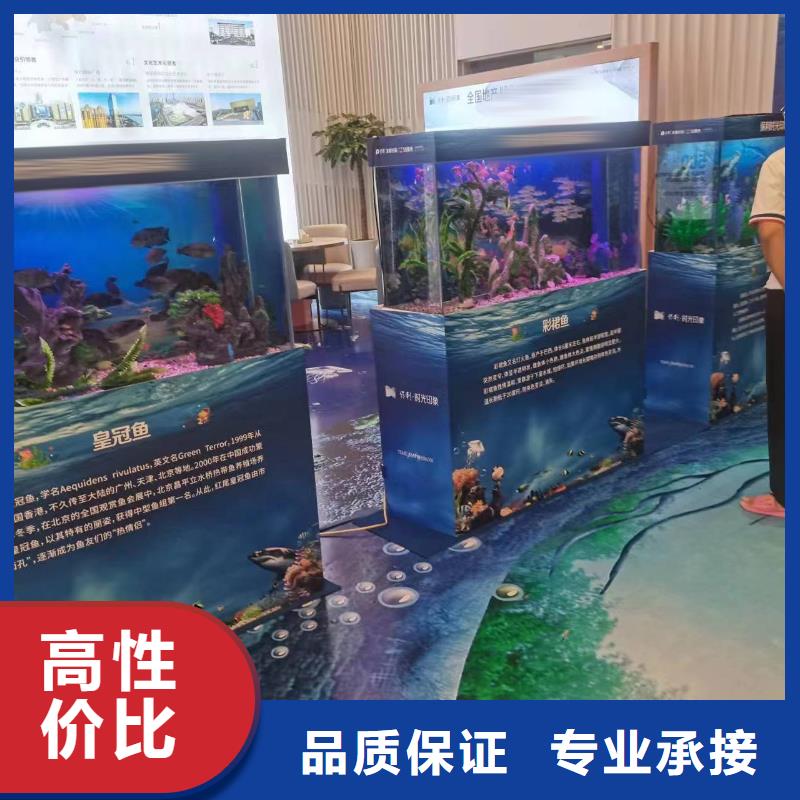【海洋主題動物表演】海獅表演出租講究信譽
