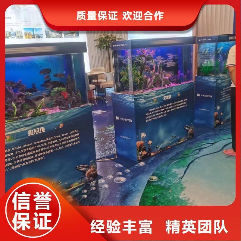 海洋主題動物表演海獅表演租賃實力公司