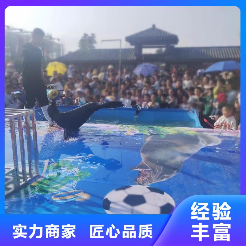 海洋主题动物表演动物表演欢迎询价