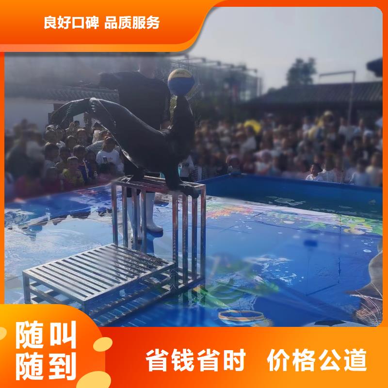 海洋主題動物表演【出租羊駝】實力強有保證