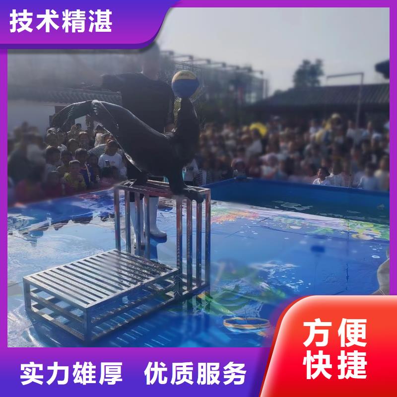 海洋主題動物表演企鵝租賃歡迎合作